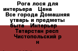 Рога лося для интерьера › Цена ­ 3 300 - Все города Домашняя утварь и предметы быта » Интерьер   . Татарстан респ.,Чистопольский р-н